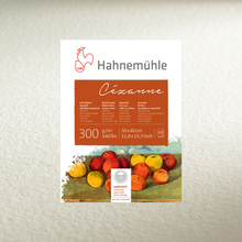Load image into Gallery viewer, Mould-made Watercolour Cézanne 300 gsm with watermark sheets and rolls